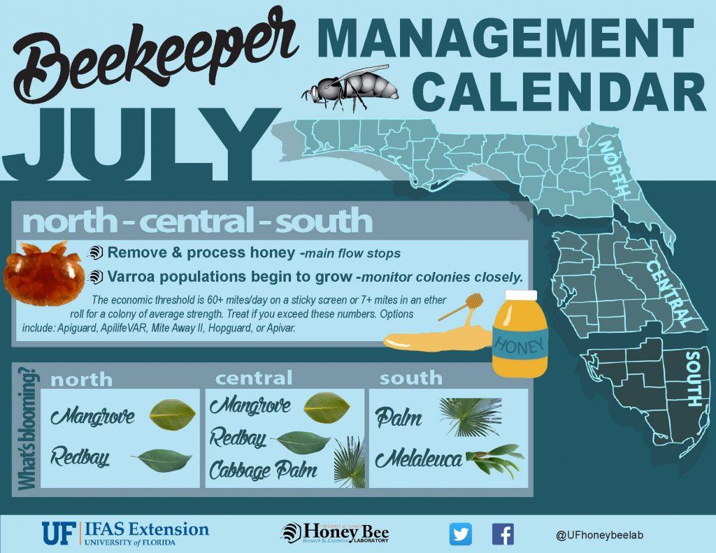 beekeepermanagementcalendar_july