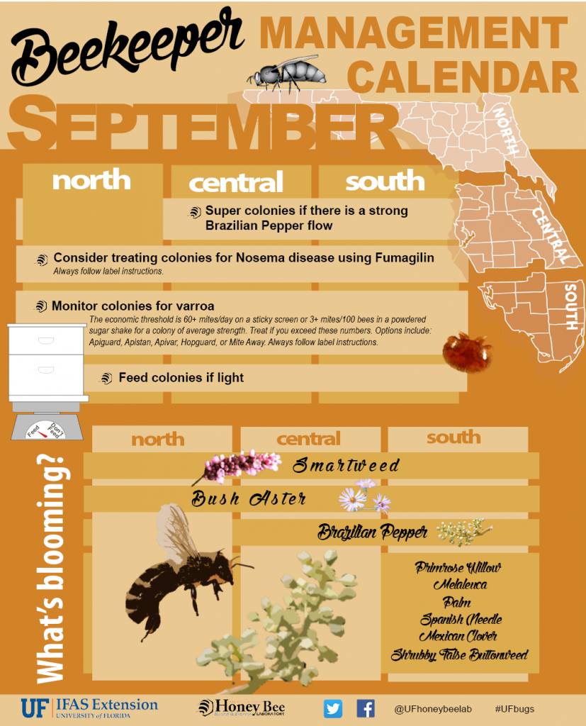 beekeeping_management_calendar-september