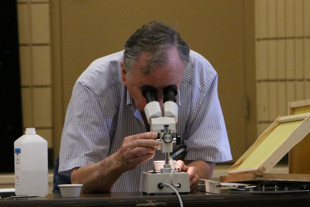 Ed Carson checking for Varoa Mites at meeting. April 2015 (Stephen Clay McGehee)
